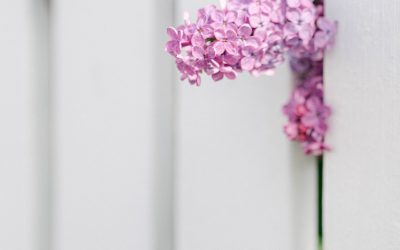 Juhannuksen aukioloajat Lillanissa